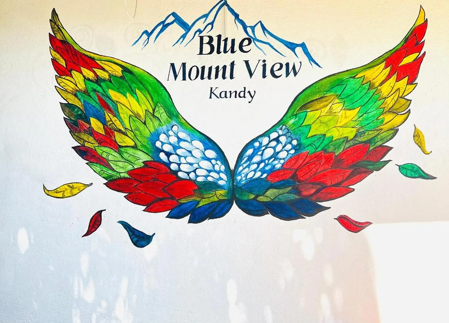 New Blue Mount View Kandy